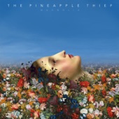 Magnolia (Deluxe Edition) artwork