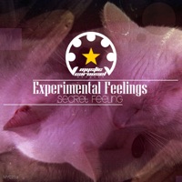 Secret Feeling - Experimental Feelings