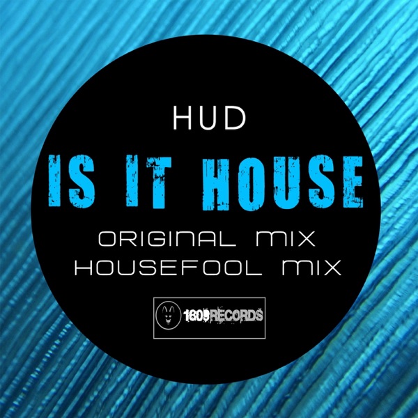 Is It House - Single