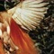 Don’t You Put Your Hands There - Scarlet Chives lyrics