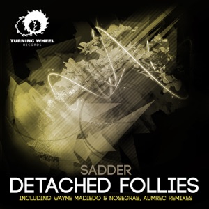 Detached Follies - Single