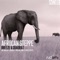 African Steppe - Breeze & Quadrat lyrics