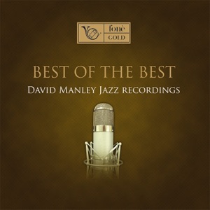 Best of the Best (David Manley Jazz Recordings)