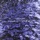 MEDITERRANEA
