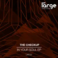 In Your Soul — The Checkup