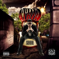 Roll Wit Ya (feat. Sean Dj Chubby Hails) - Single - Siddiq