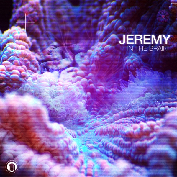 In the Brain - Single