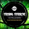 Stream & download Tribal Terror