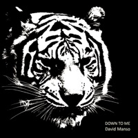 David Manso - Down to Me (Andruss Remix)