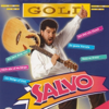 Gold -30 Titel - Salvo