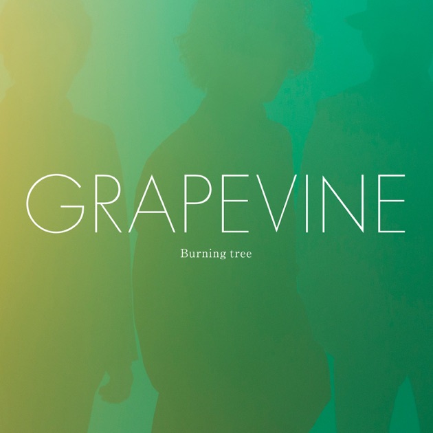 新品未使用 GRAPEVINE BABEL,BABEL 希少レコード GRAPEVINE BABEL, BABEL 初回限定盤DVD付 - メルカリ