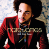 Nate James - Funky Love kunstwerk