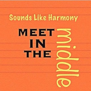 Meet In the Middle - Single