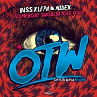 Somebody Shoulda Told You - Single - Bass Kleph & Audex
