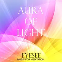 After the blue screen — EyeSee