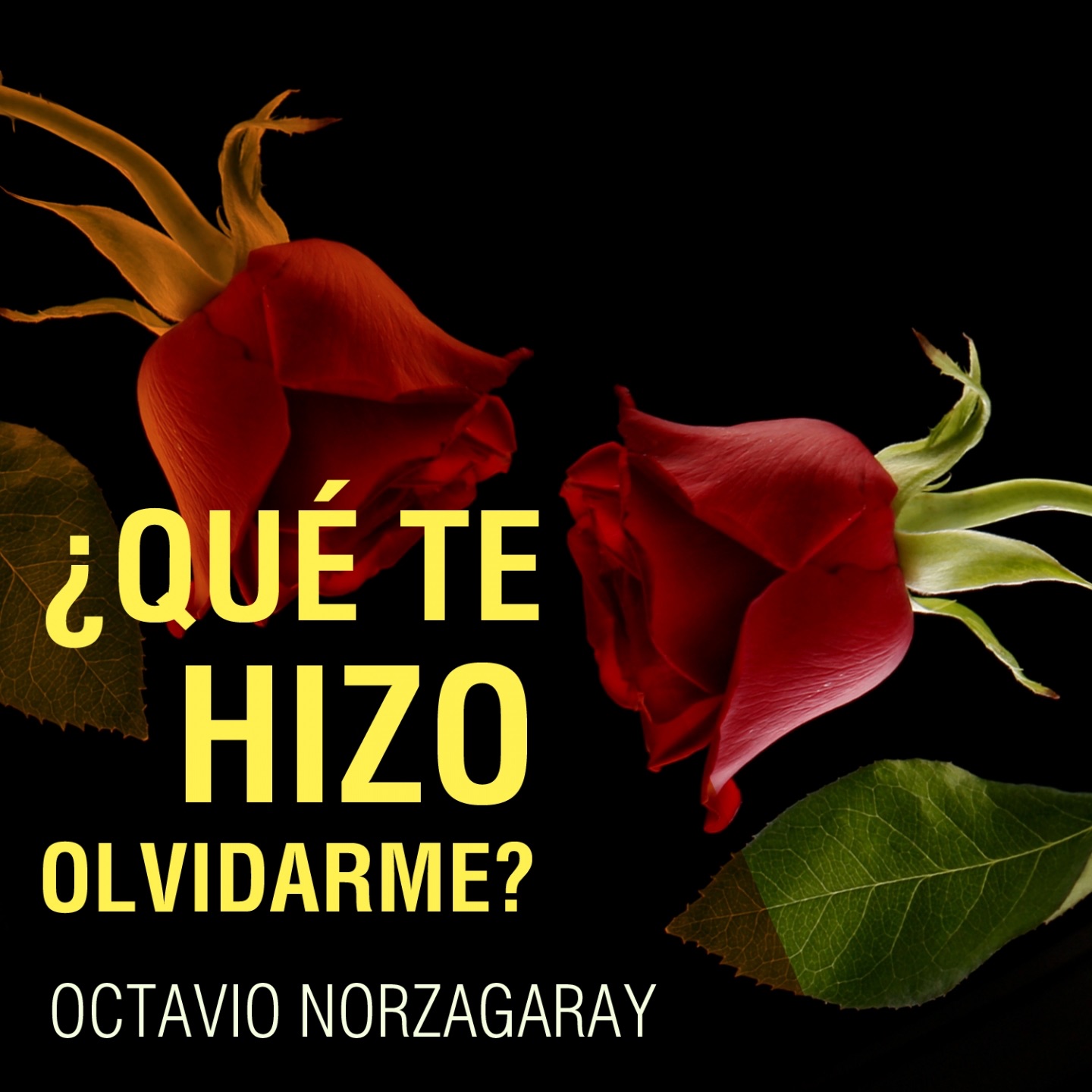 Qué Te Hizo Olvidarme?