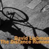 The Distance Runner artwork