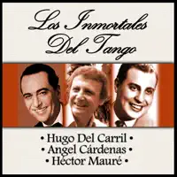 Ni Mas Ni Menos — Angel Cardenas
