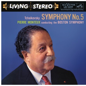 Tchaikovsky: Symphony No. 5 in E Minor, Op. 64