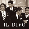 Il Divo - The Man You Love ilustración