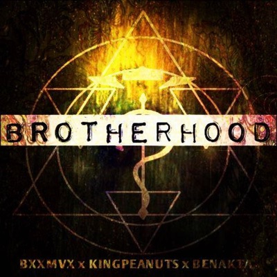 Brotherhood - Single