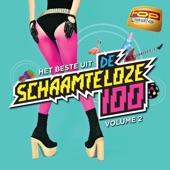 Topradio - De Schaamteloze 100, Vol. 2 artwork