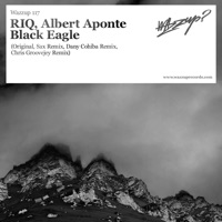 Black Eagle - EP - RIQ & Albert Aponte