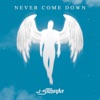 Never Come Down - Single