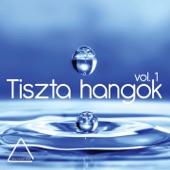 Tiszta Hangok, Vol. 1 artwork