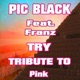 Try Tribute to Pink feat Franz Single