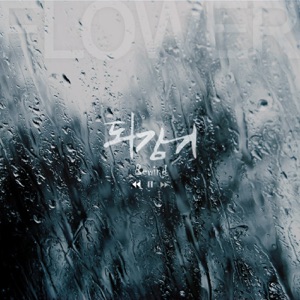 되감기 - Single