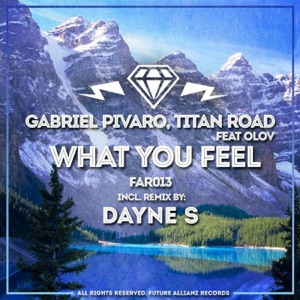 What You Feel - Single