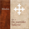 De poetiske bøkene: Bibelen 3 - N. N.