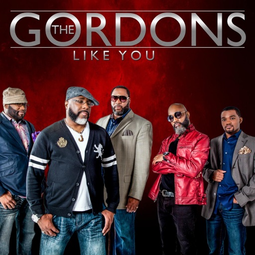 Art for Like You by The Gordons