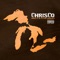 How Does It Feel - ChrisCo lyrics