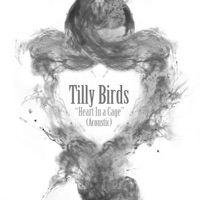 Heart in a Cage (Acoustic Version) - Single - Tilly Birds