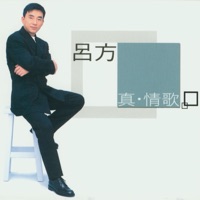 真情歌精選 - David Lui