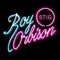 Roy Orbison - Stig lyrics