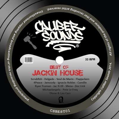 Caliber Sounds Best of Jackin House