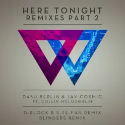 Here Tonight (Remixes, Part 2) [feat. Collin McLoughlin] - EP - Dash Berlin