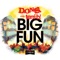 Big Fun - D.O.N.S. & Terri B! lyrics