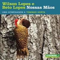 Nossas Mãos - Homenagem a Toninho Horta - Wilson Lopes & Beto Lopes