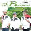Trio Os Boemios - Roseira Enxertada