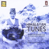 Himalayan Tunes artwork