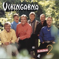 VIKINGARNA