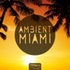 Ambient Miami, 2015