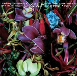 Goldberg - Variationen BWV 988, The strings version