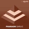 Pharaon