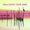 Calm Down your Mind - Music for Relaxation Techniques and Stress Management