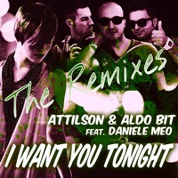 I Want You Tonight (feat. Daniele Meo) [The Remixes] - Single - Attilson & Aldo Bit